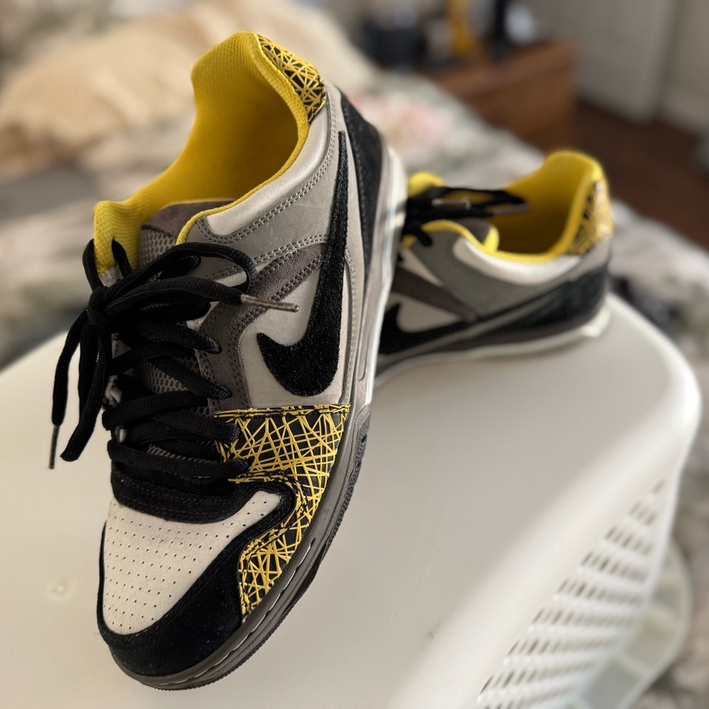 Nike Air Zoom Oncore Dunk SB